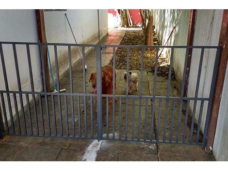 Portões para Cachorro no Campo Limpo
